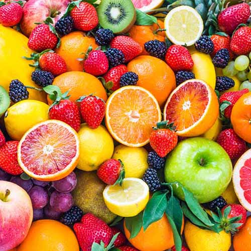 Shabbat Live Reap Your Fruit Sinai Temple