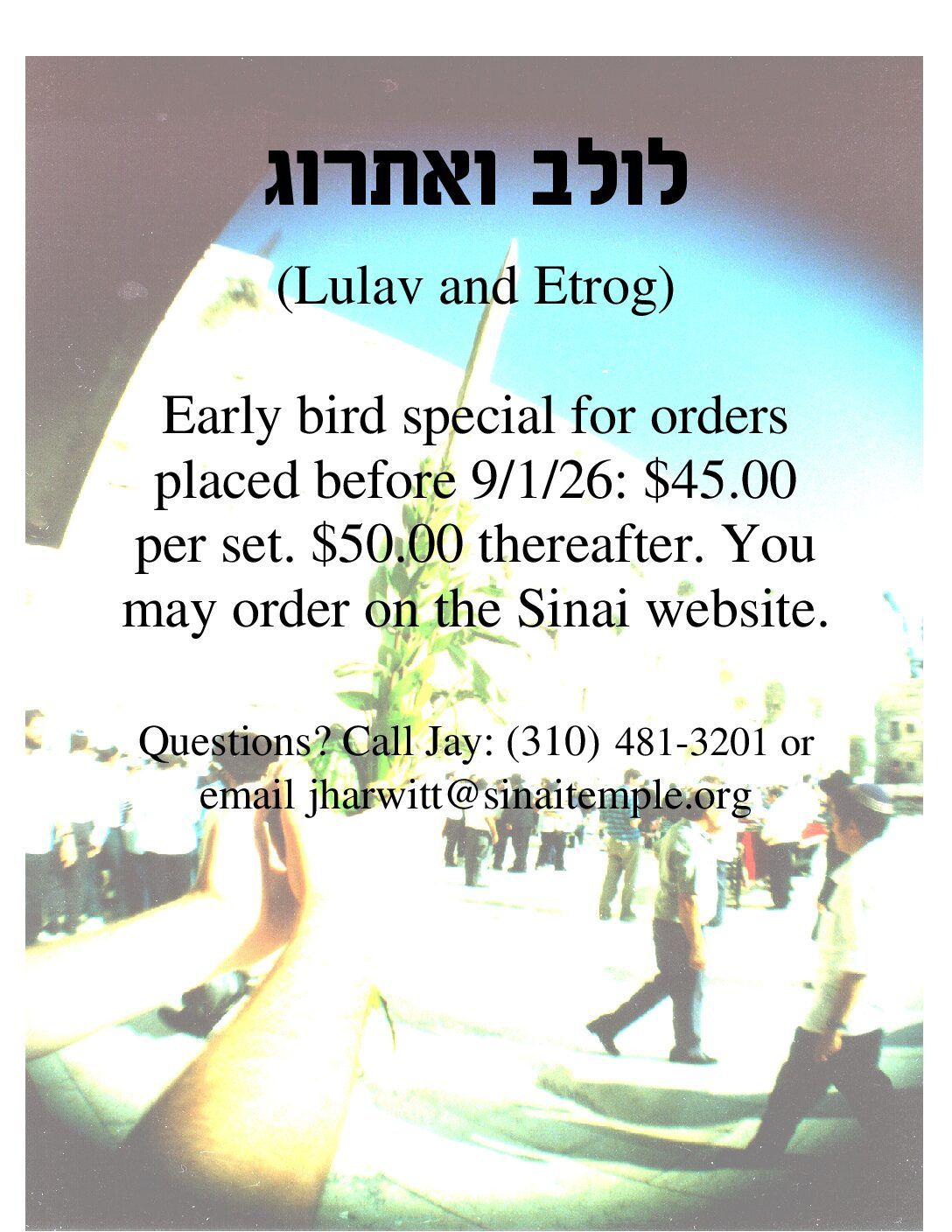 Lulav Poster